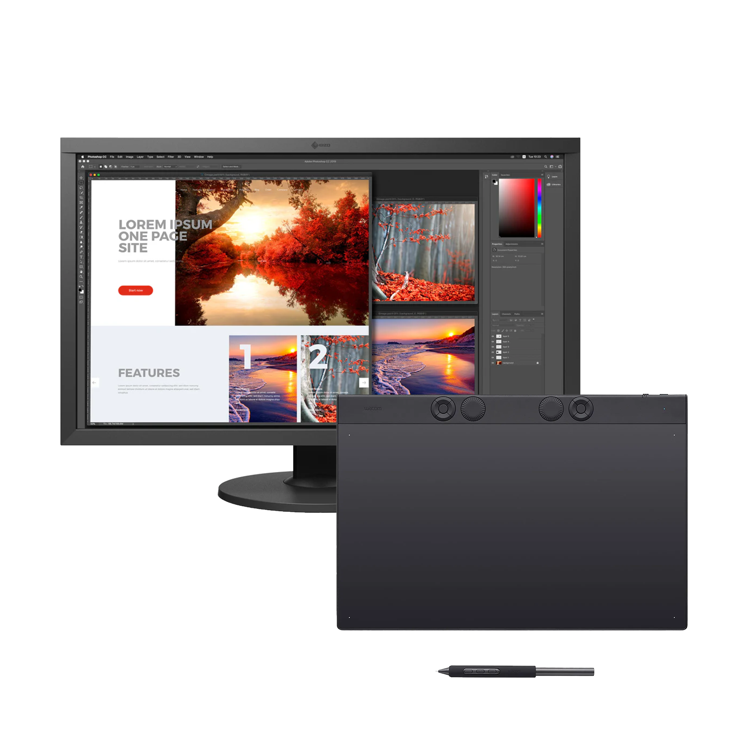 BUNDLE : Wacom Intuos Pro pen tablet Large + Ecran EIZO (au choix)