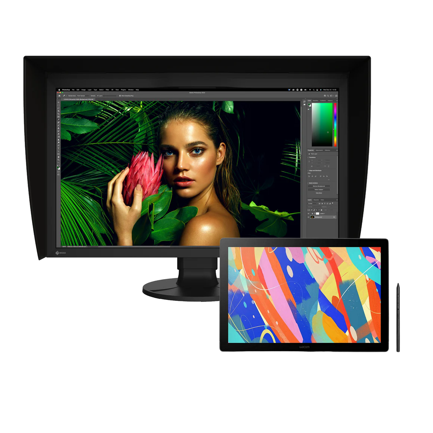 BUNDLE : Wacom Cintiq 16 DTK168 + Ecran EIZO (au choix)