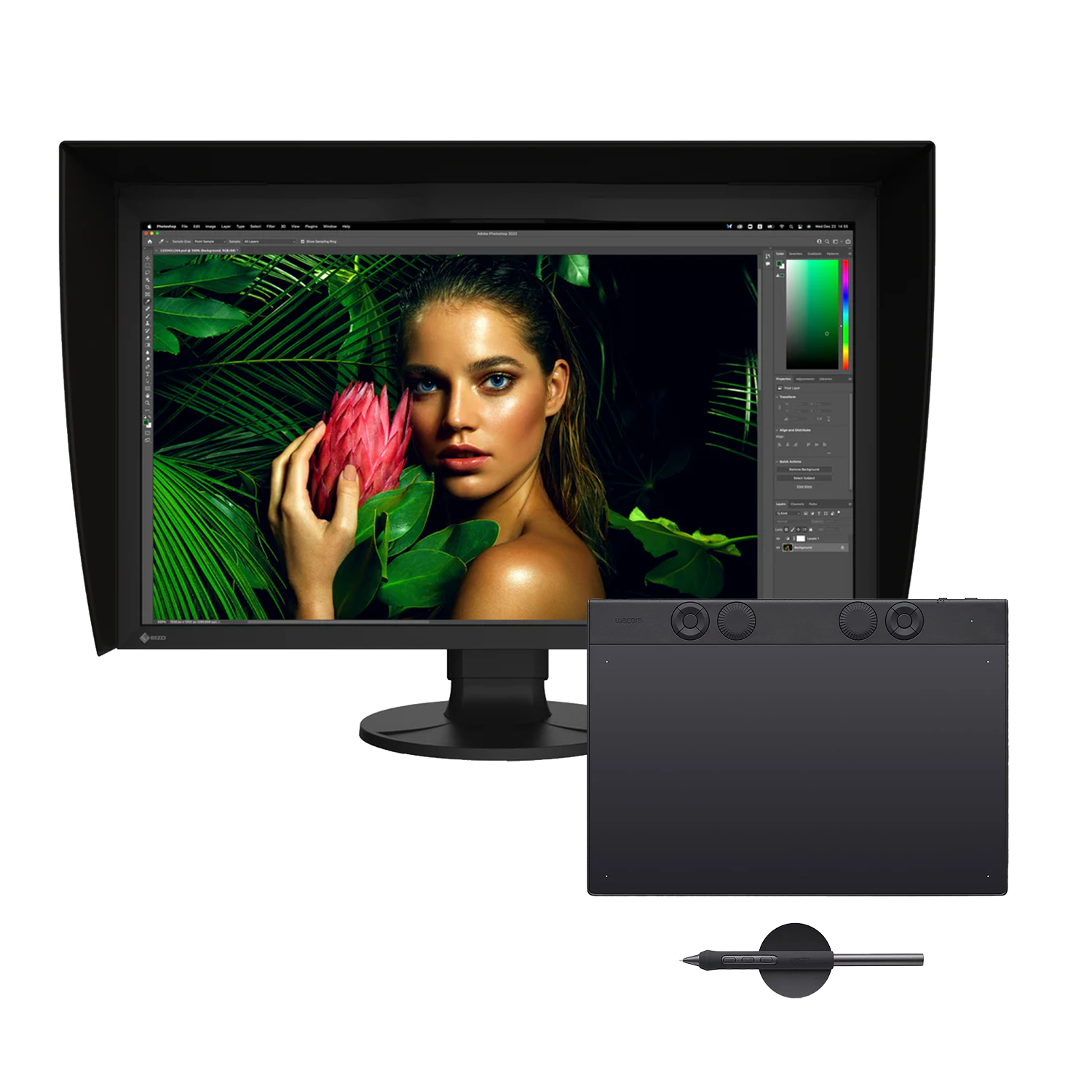 BUNDLE : Wacom Intuos Pro pen tablet Medium + Ecran EIZO (au choix)
