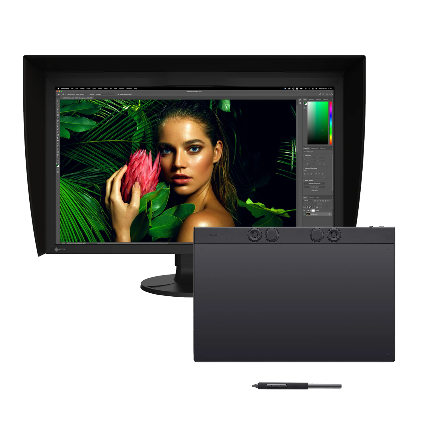 BUNDLE : Wacom Intuos Pro pen tablet Large + Ecran EIZO (au choix)